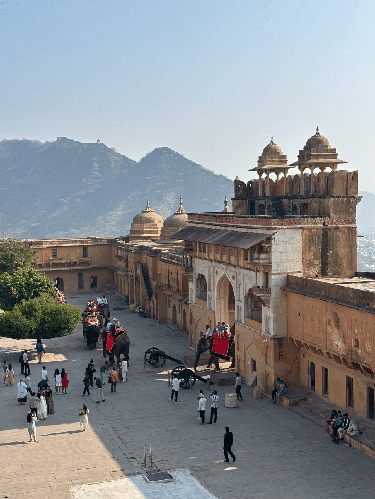 インドが私を呼んでいる・・・気がしたので行ってみた～インド旅行