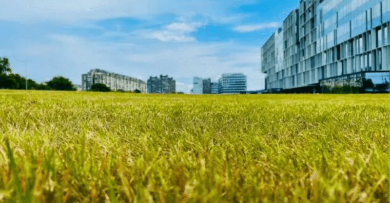 ポストSDGs時代の選択①〜SDGsはオワコン！？〜