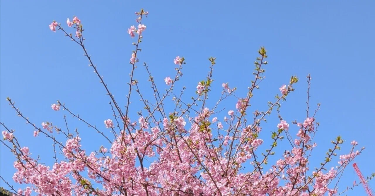 梅の花散る 人の命も (2026年初春)|コーノヒロ