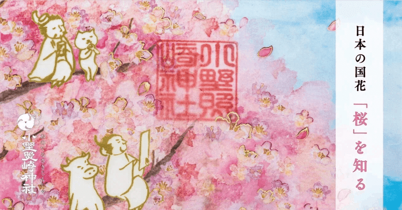 日本の国花「桜」を知る🌸