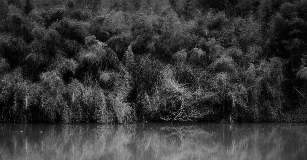 ベスト写真 : 2026年2月 モノクロ｜fueda218