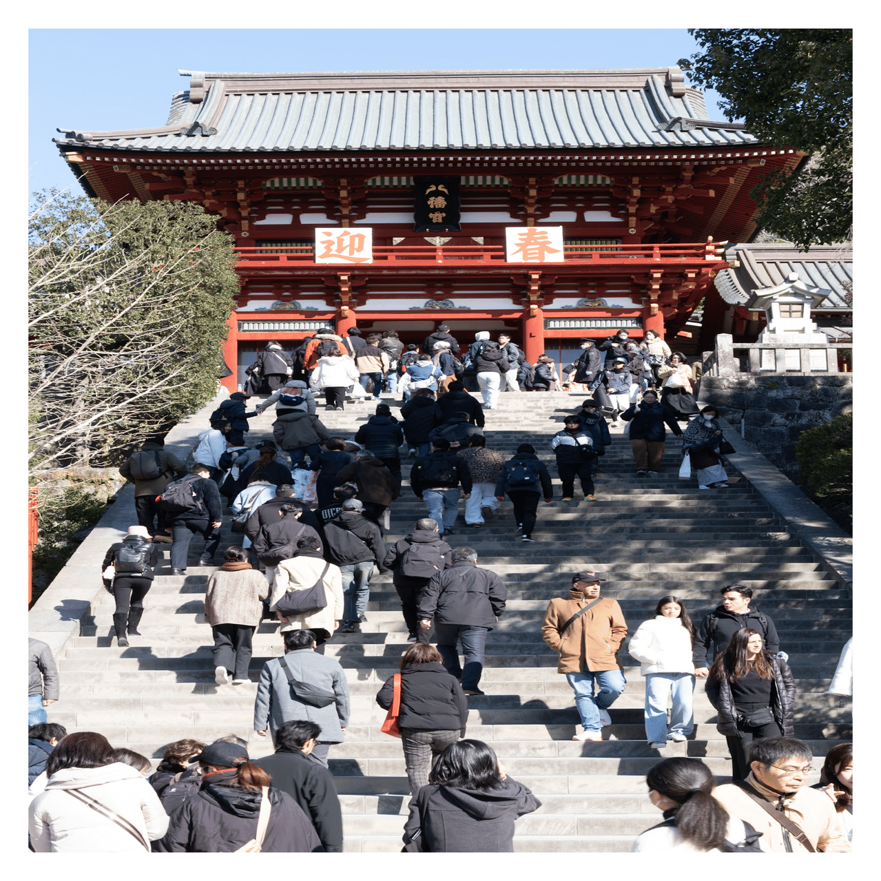 note復帰、ミッドライフクライシス、鎌倉、三浦半島｜yokoblue