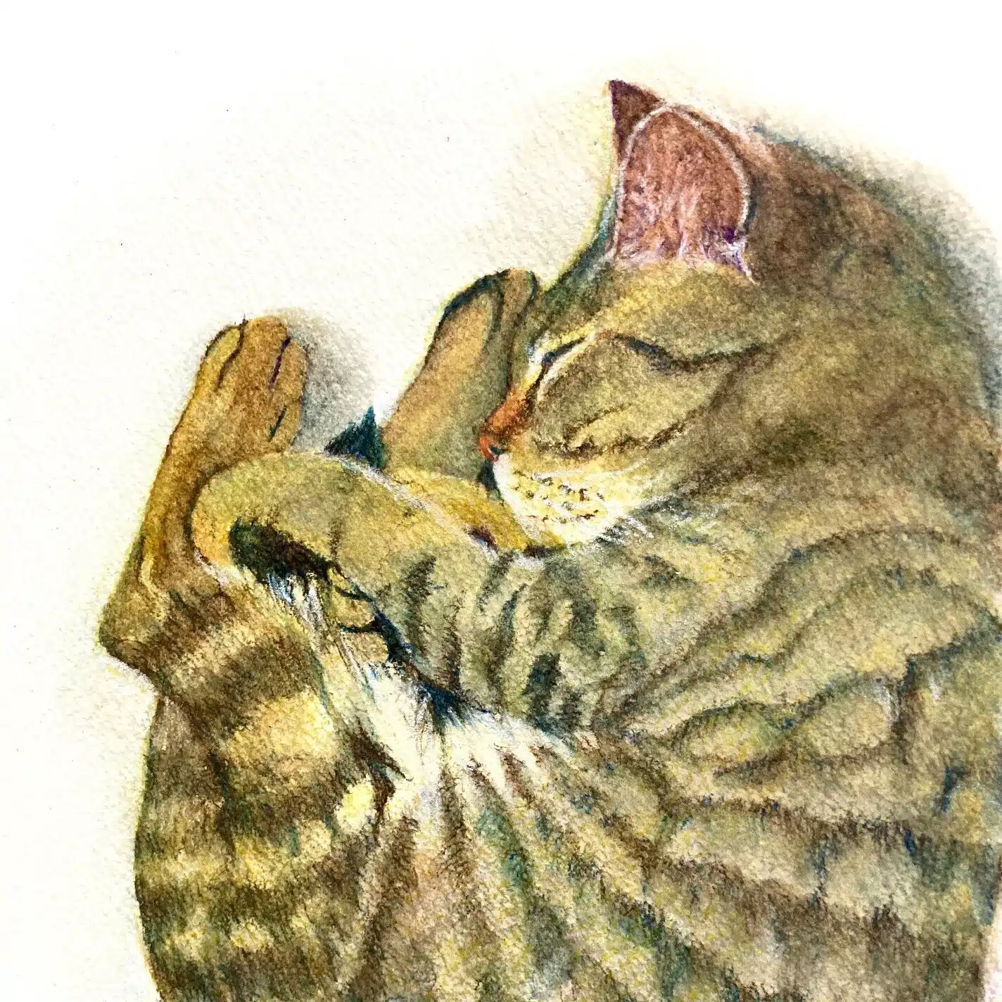 shiho【色鉛筆画】