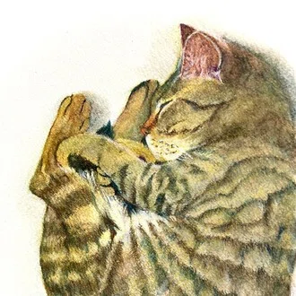 shiho【色鉛筆画】