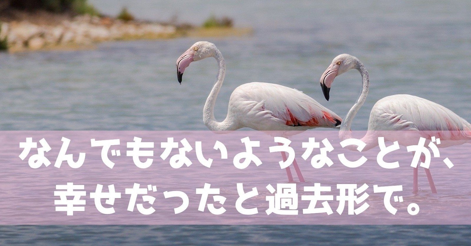 なんてことない 一日 すみぃ Note なんてことない 一日 すみぃ Note