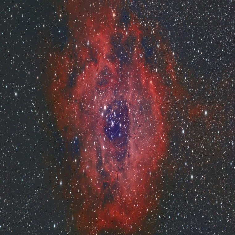 NGC 2237 -バラ星雲-｜ash