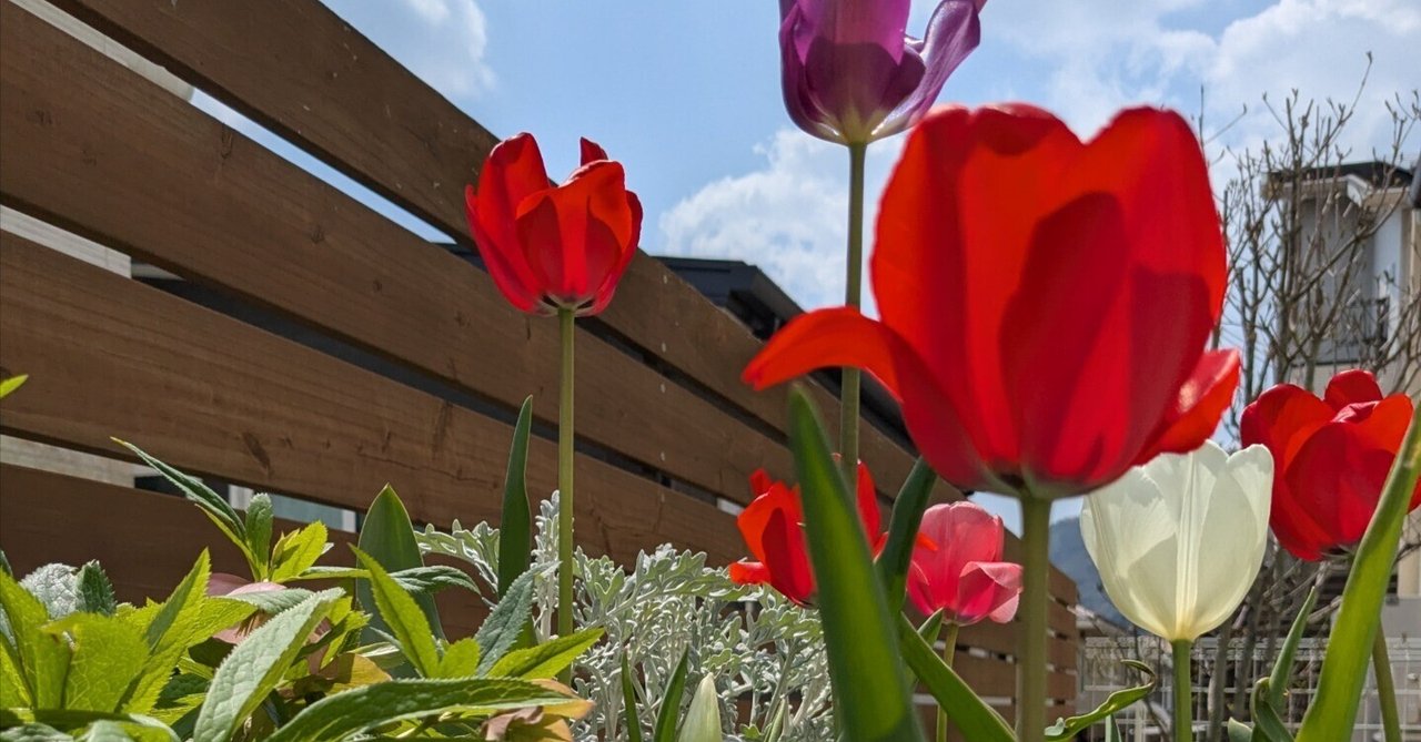 「【日記No.54】「春」初日に春っぽいことをしたい!!🌸」のサムネイル