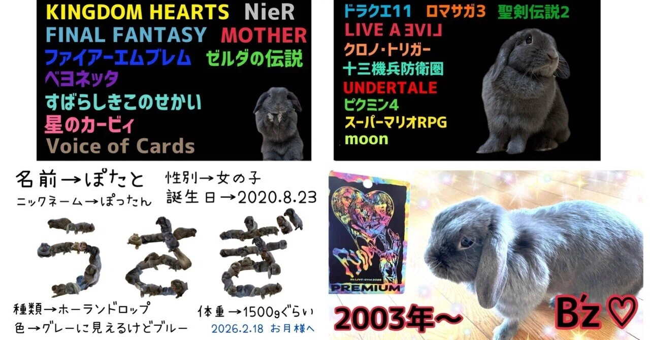 うさう※プロフ必読※ページ 自己紹介＆うさぎ紹介2026｜げーらびーず