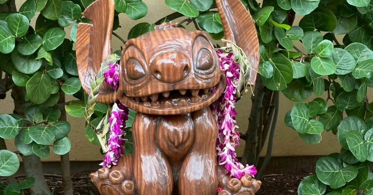 ハワイ新婚旅行🌺アウラニ】移動到着日｜ちょすごれ夫婦