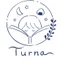 Turna