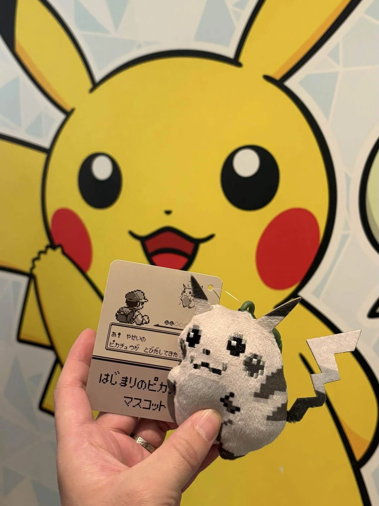 やせいのピカチュウがとびだしてきた！【ポケモン30周年】｜藍野