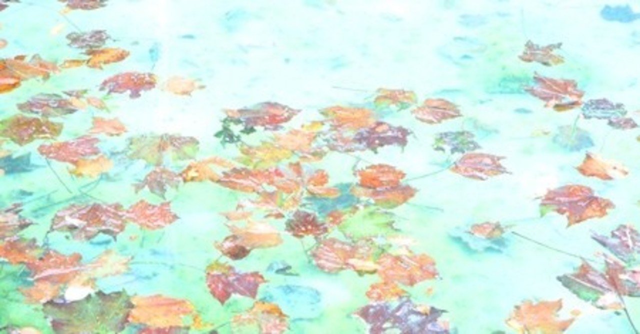 癒しの画像集 空と水辺編 リアル絵tシャツ屋さん Note