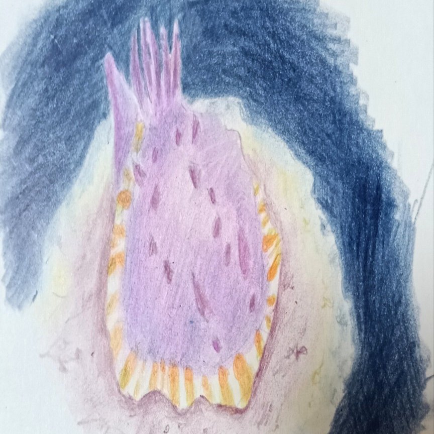 色鉛筆画0301｜エカレエリ@詩-絵-自主制作