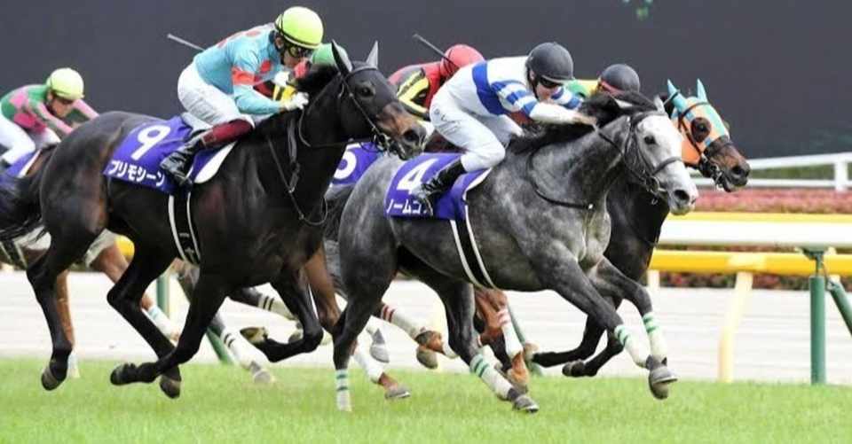 ヴィクトリア マイル 大 荒れ