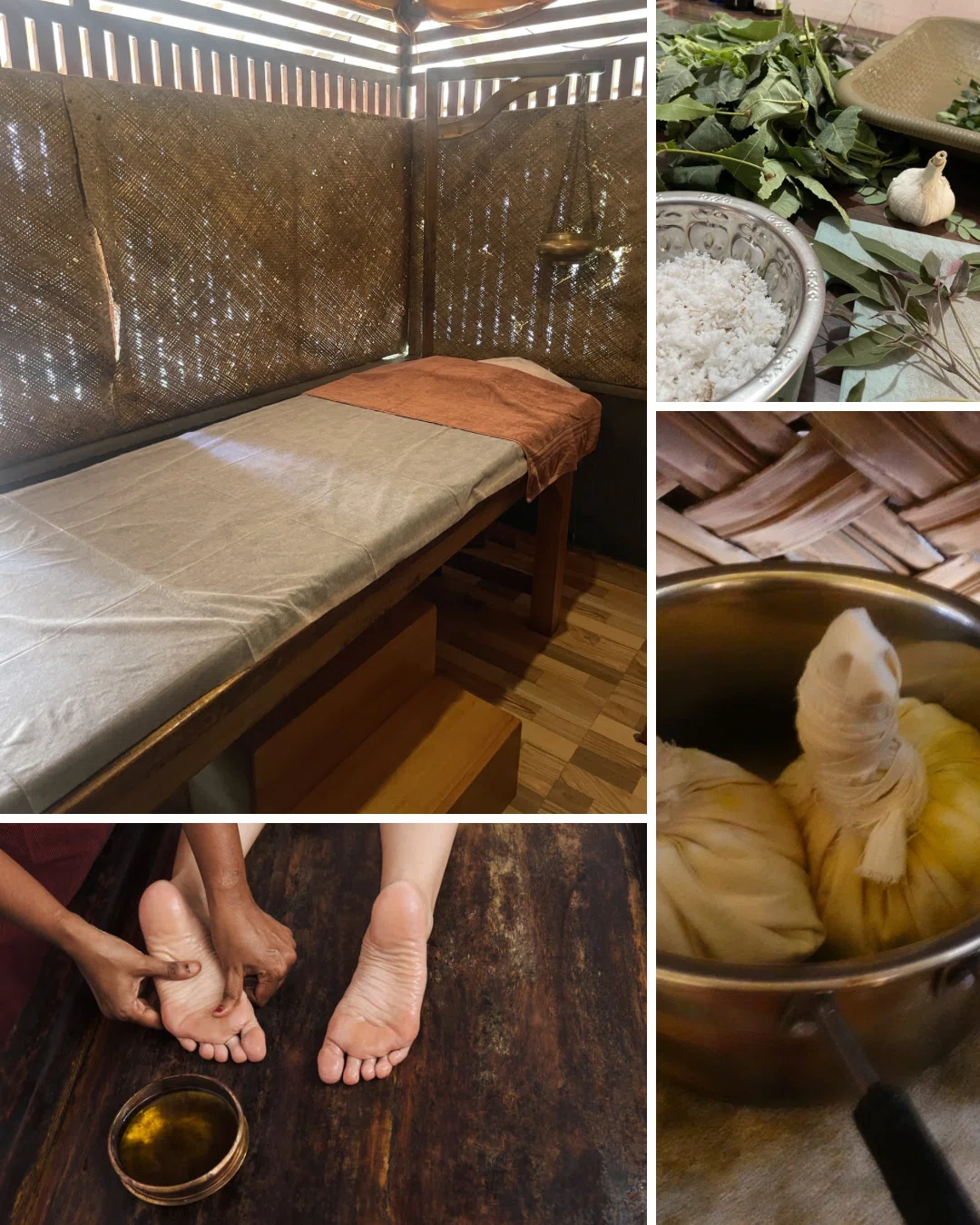 2026.9-10月 .南インド Kerala Ayurveda×Yoga Retreat｜Imaru.yoga✴︎Ogi