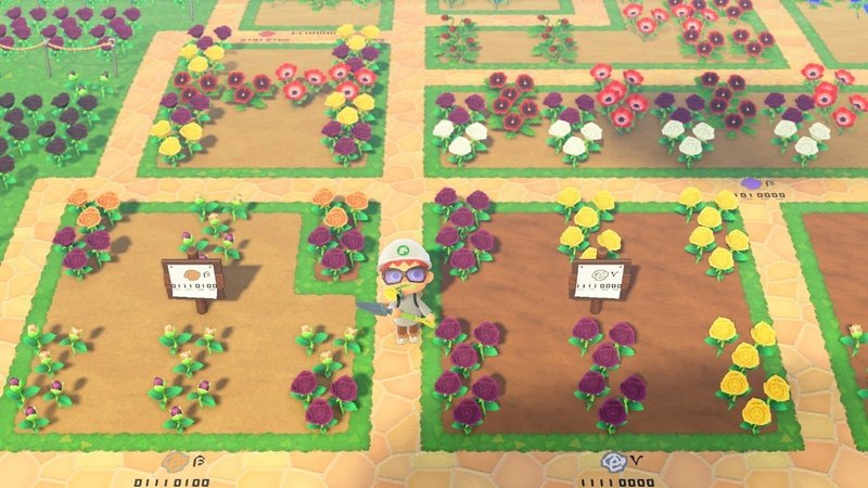 あつまれどうぶつの森で青いバラを作り出す手順のだいたいすべて Inuro Note