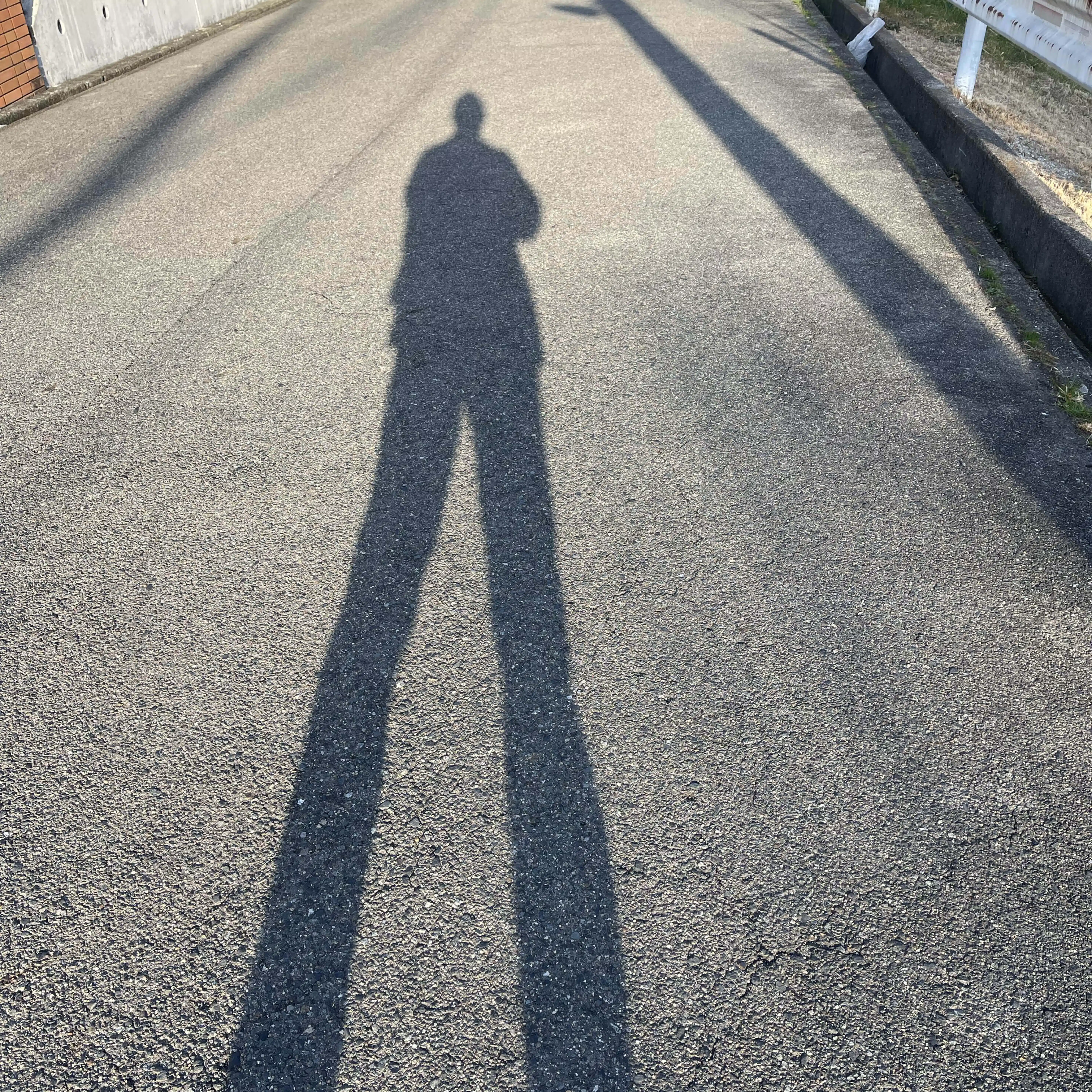 門哉彗遙