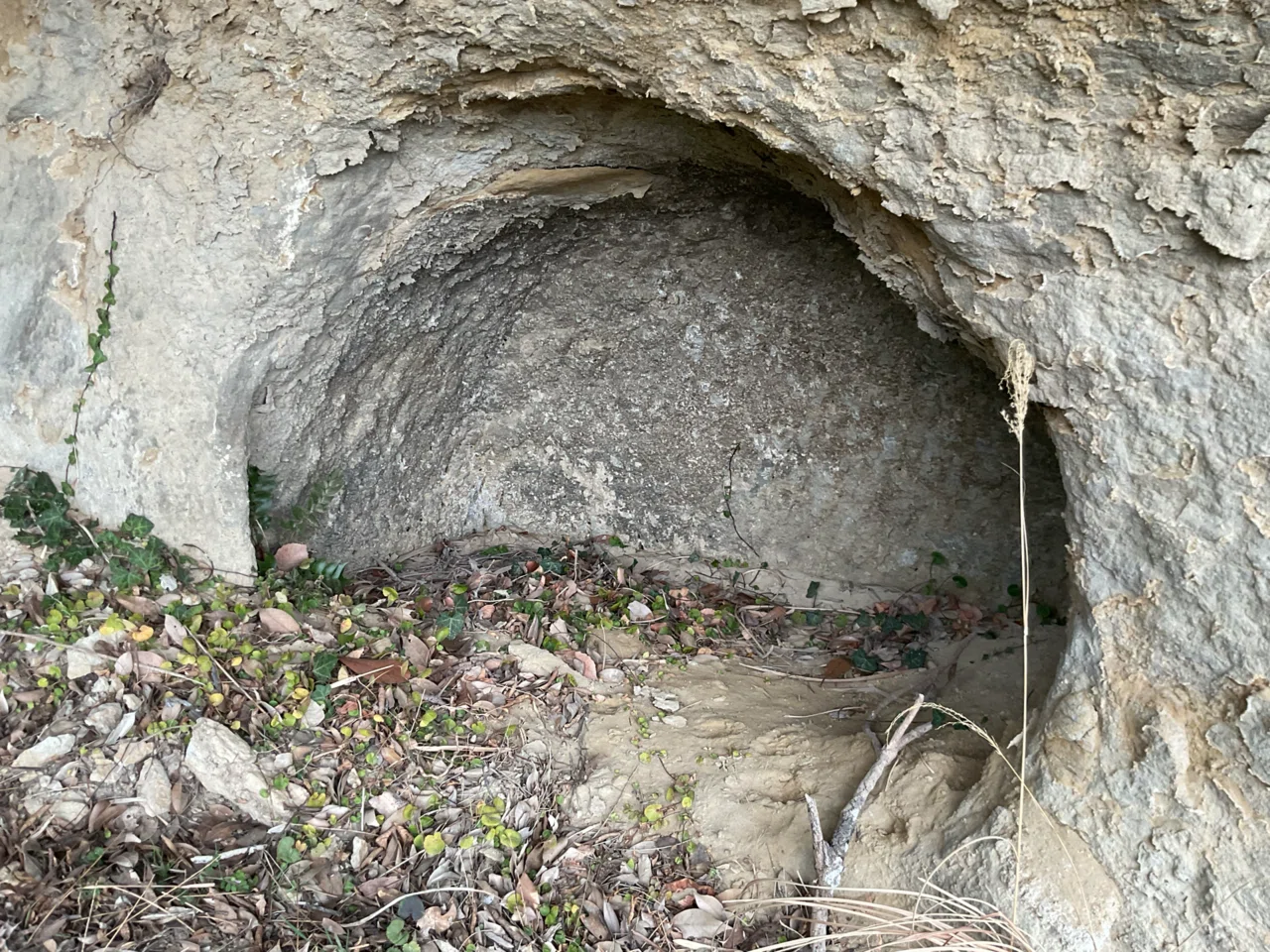 千葉】上総の古墳（金鈴塚古墳・内裏塚古墳・弁天山古墳・絹横穴墓群
