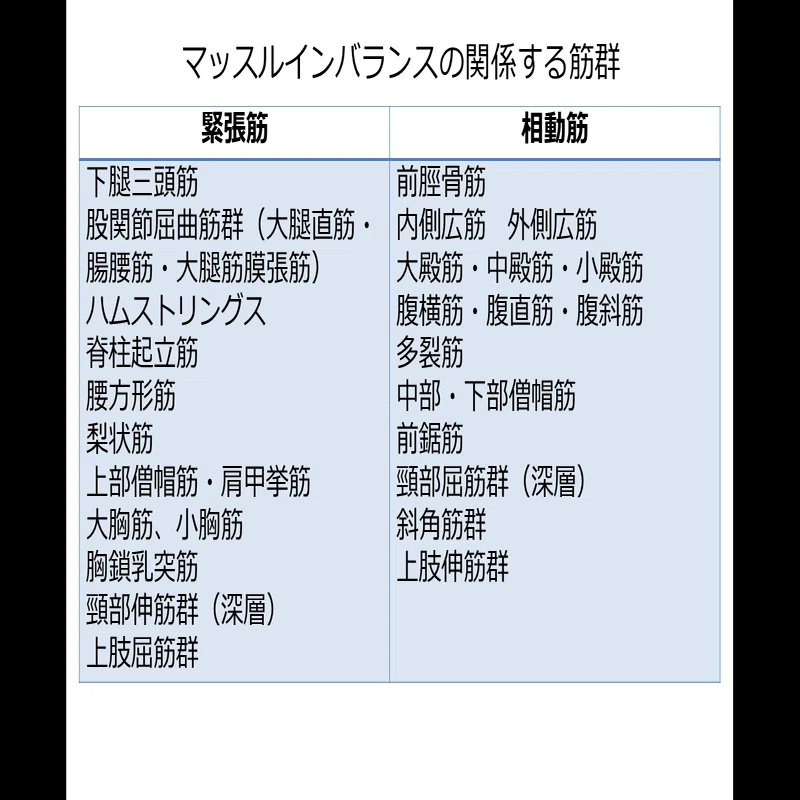 マッスルインバランスに対する徒手的アプローチ（理論編）｜Lee