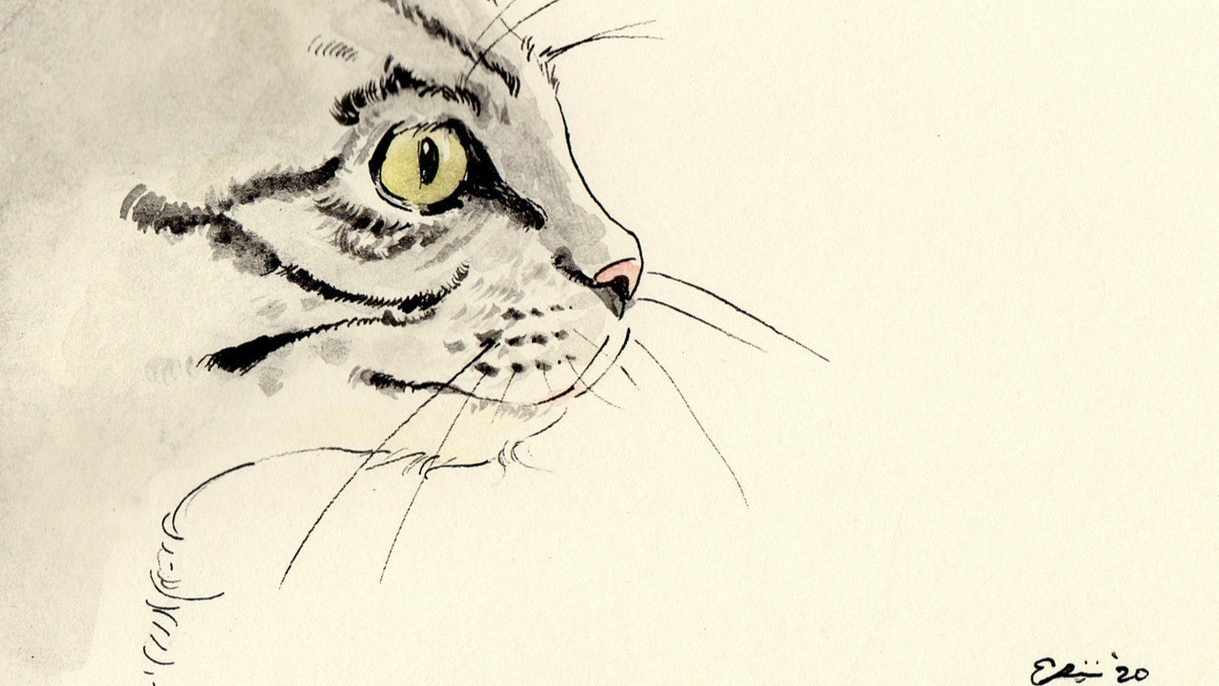 基本料金プラン(ベーシック)