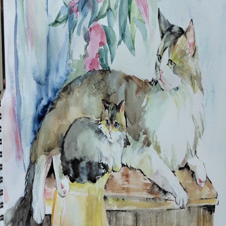 模写 透明水彩｜ぎんなん