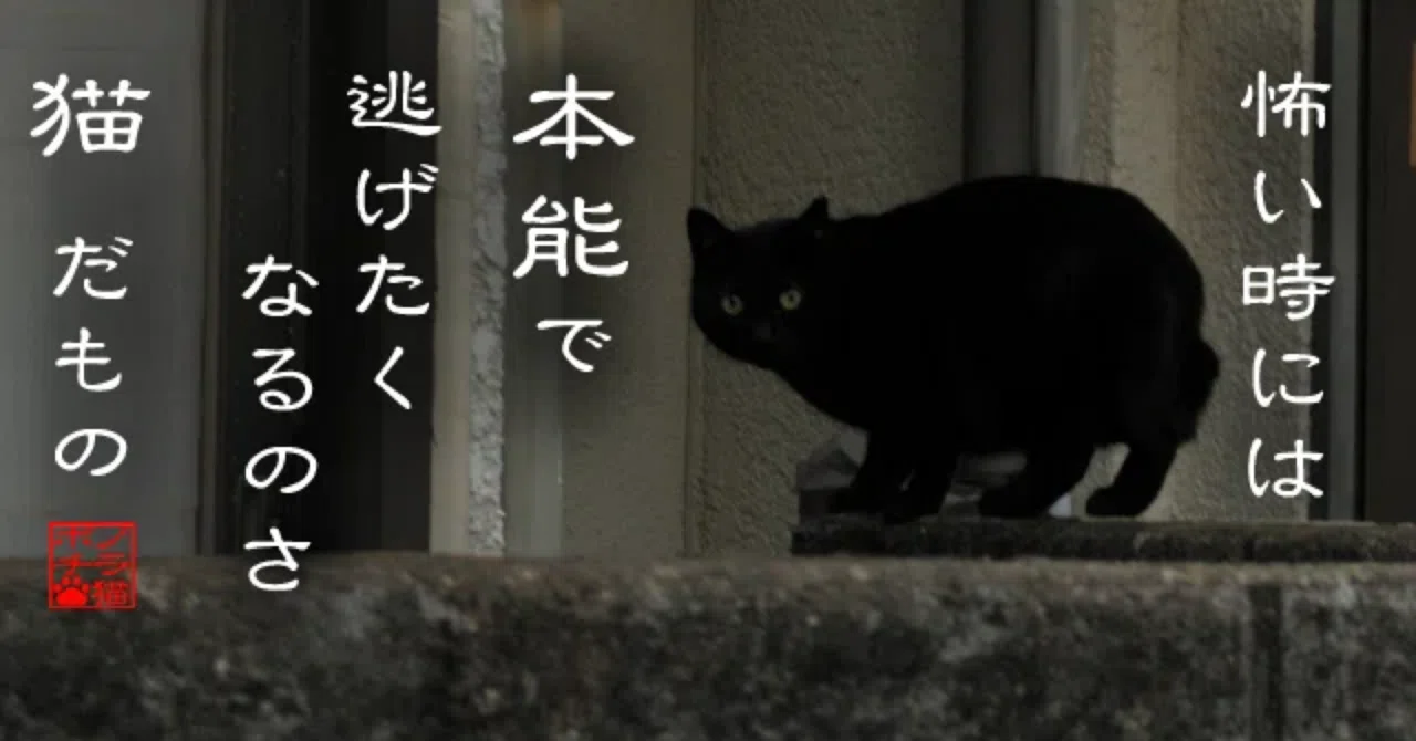(4) Medical Office Work: Things to Confirm in an Interview｜るなの暮らしの保健室