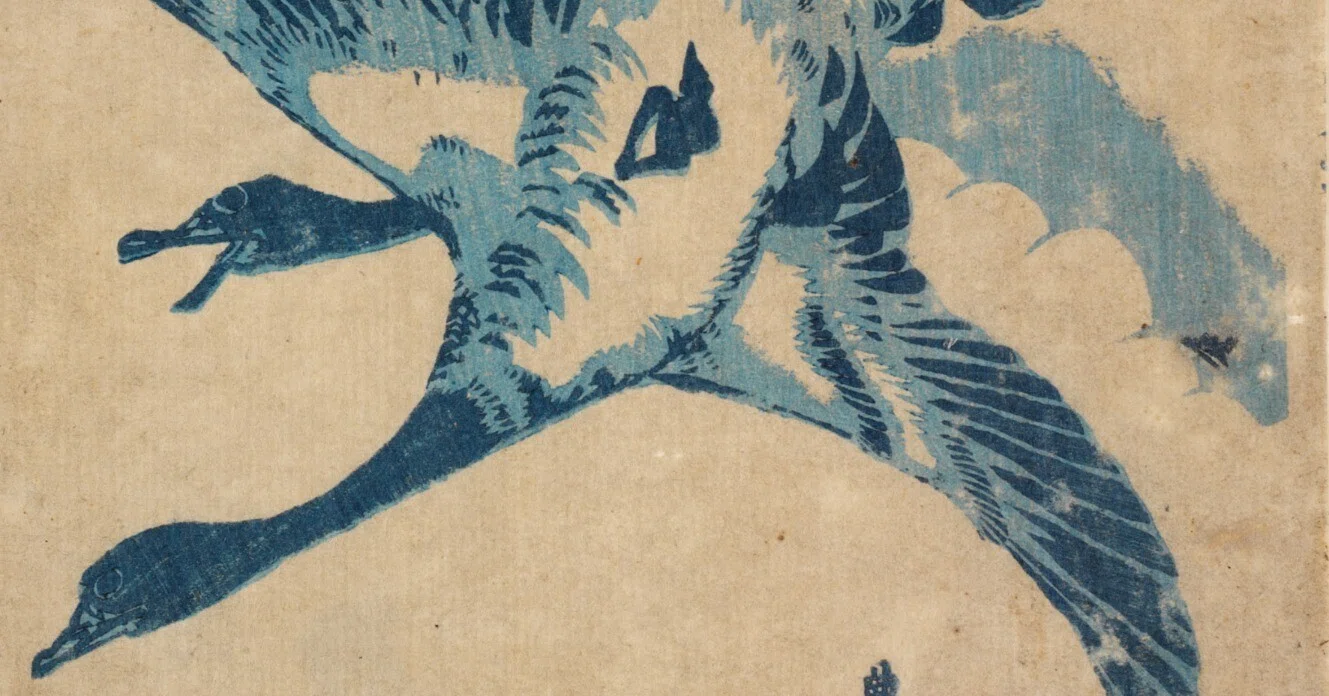 花鳥版画展」出品作⑤歌川豊広《雁》天保期（1830-44年）｜毎日投稿