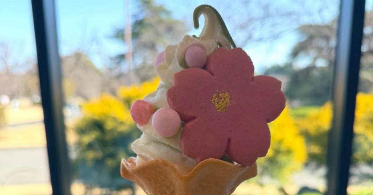 花よりだんこ的な桜ソフトクリーム｜水谷禎子（みずたにさちこ）