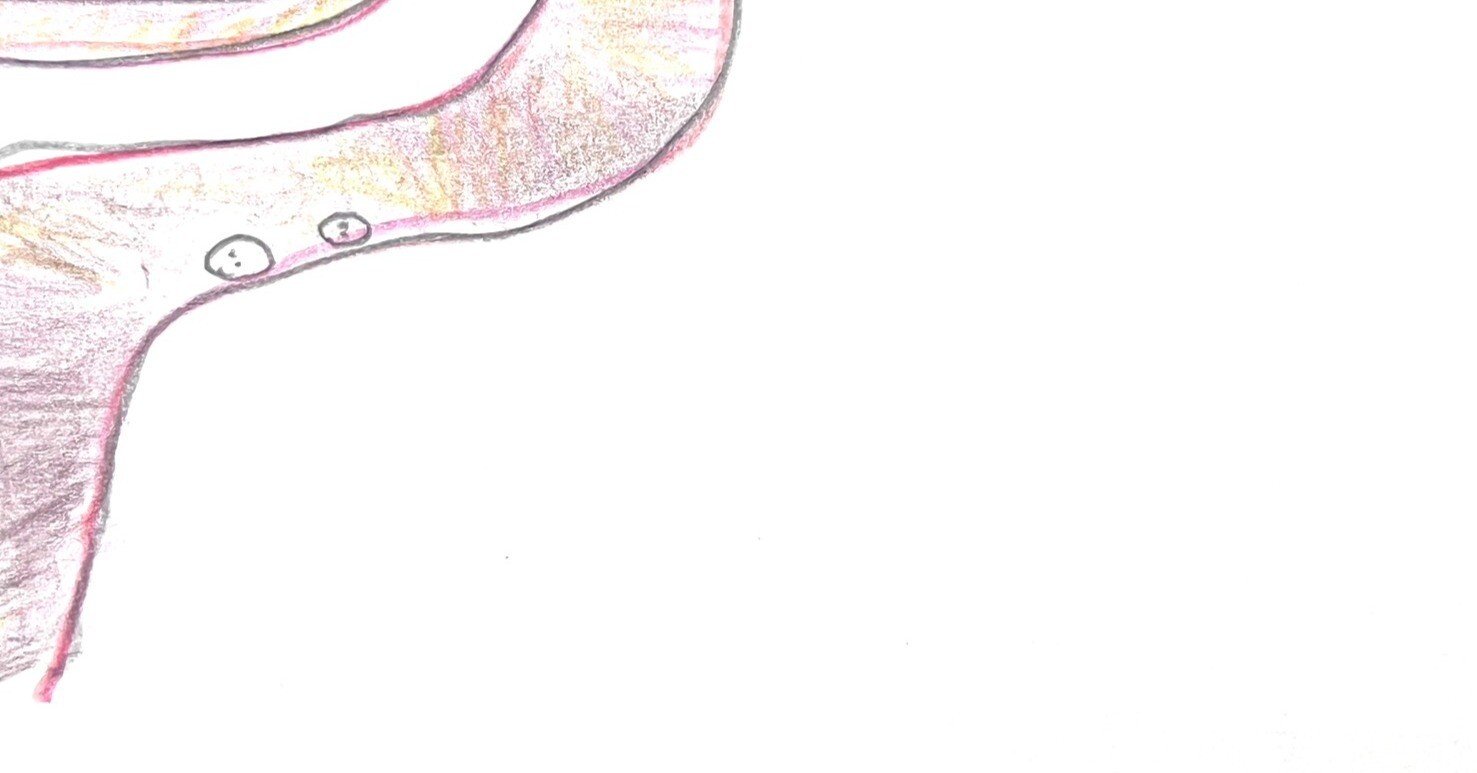 おこめの出版12（絵本10ページ）｜Hi-NONKI