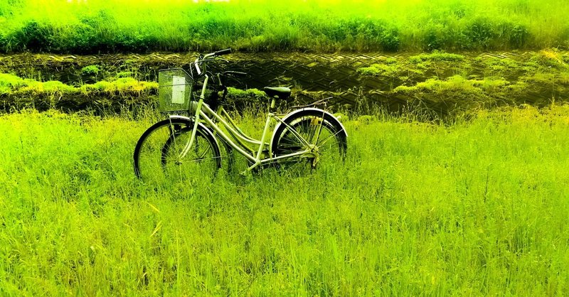 朽ちていく自転車 / Decaying bicycles (2020)