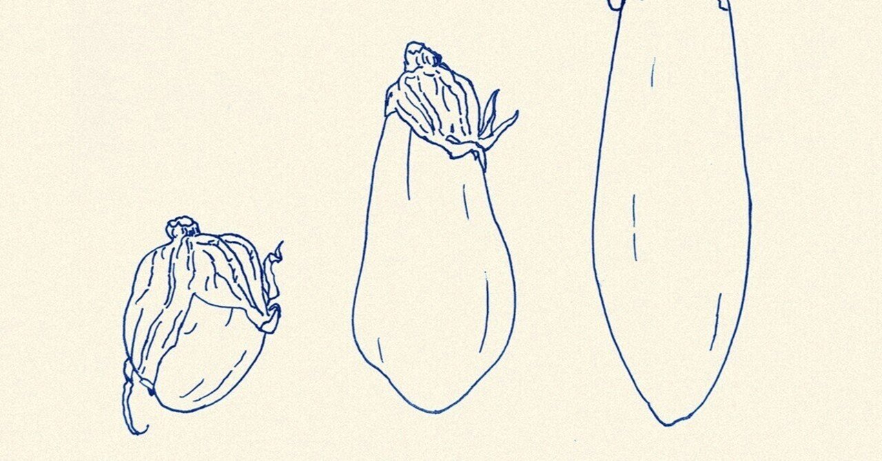 スケッチ: 茄子｜watayanagi