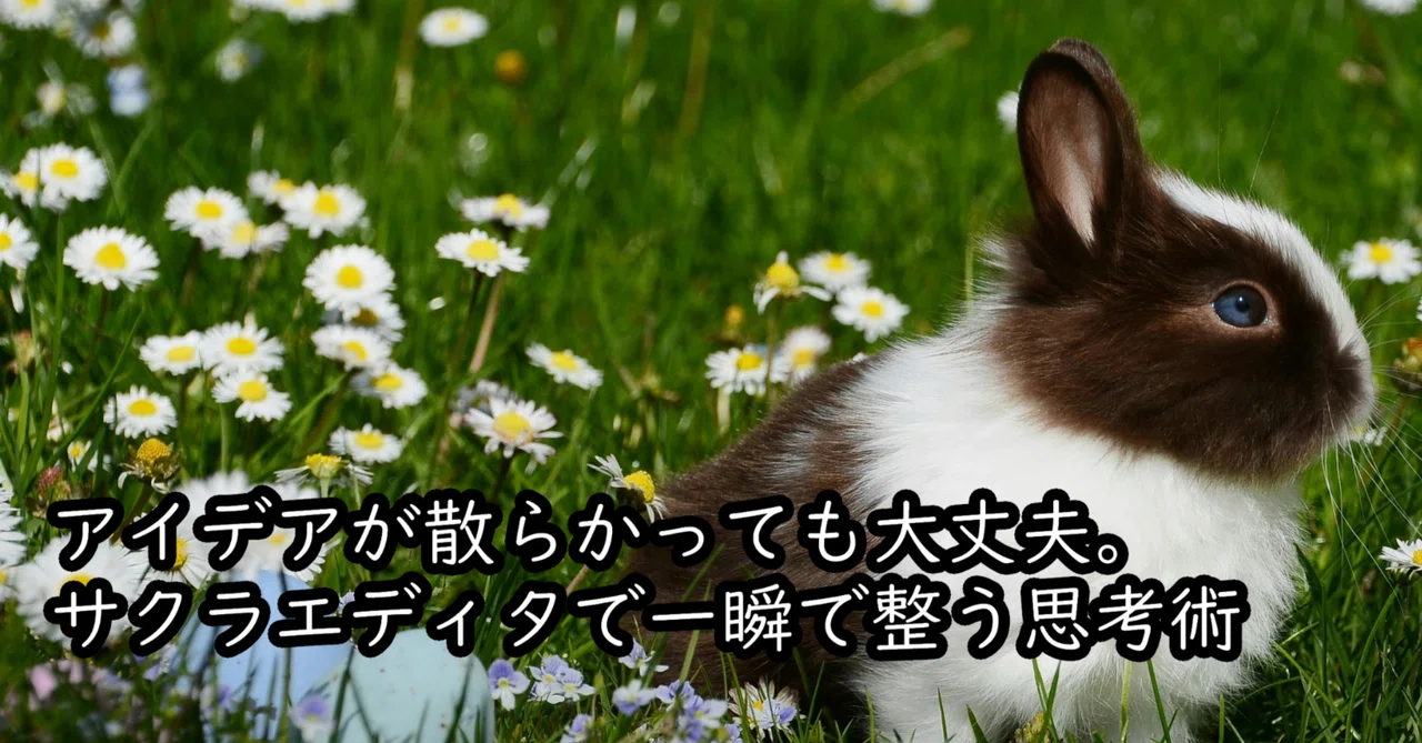 見出し画像
