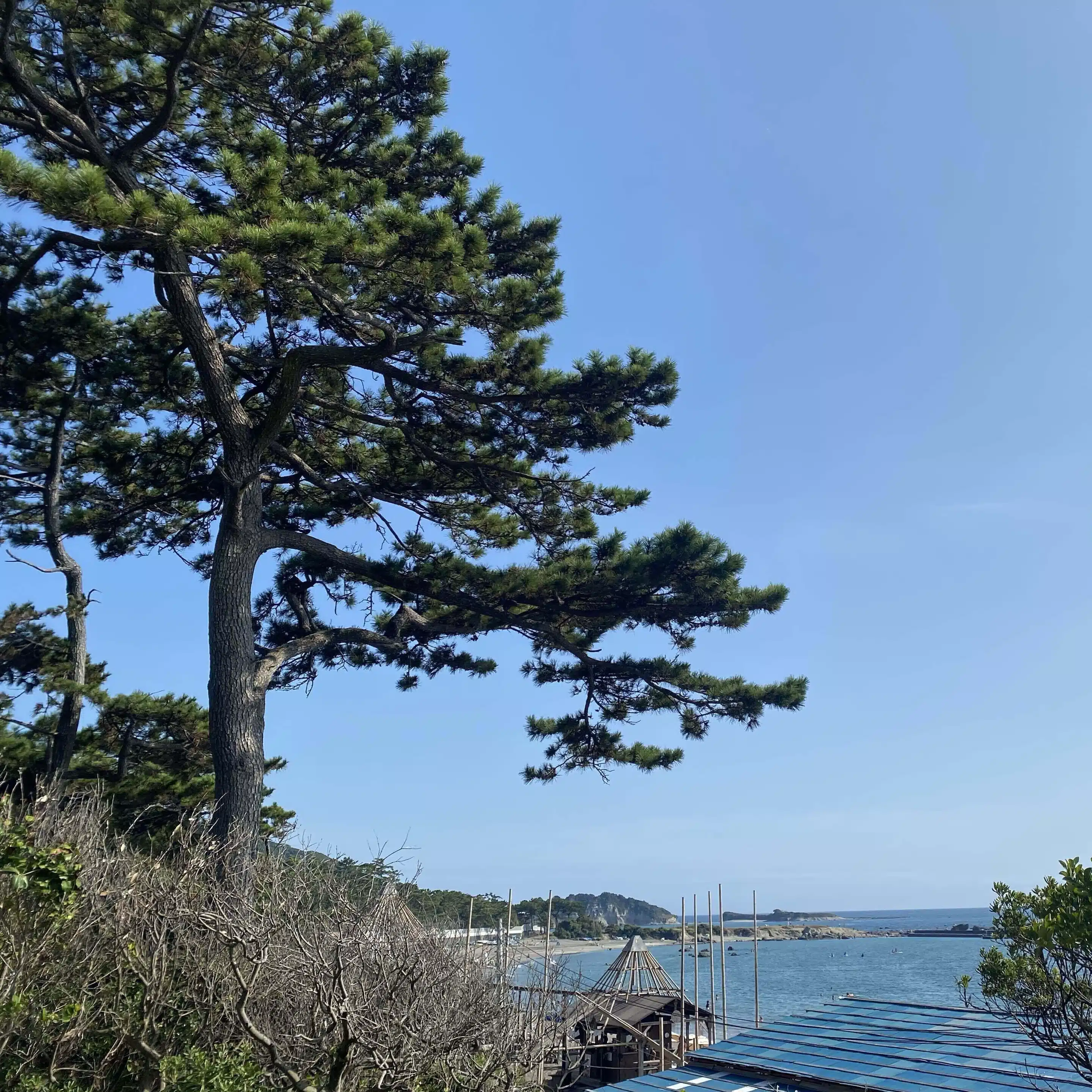 松島由布子