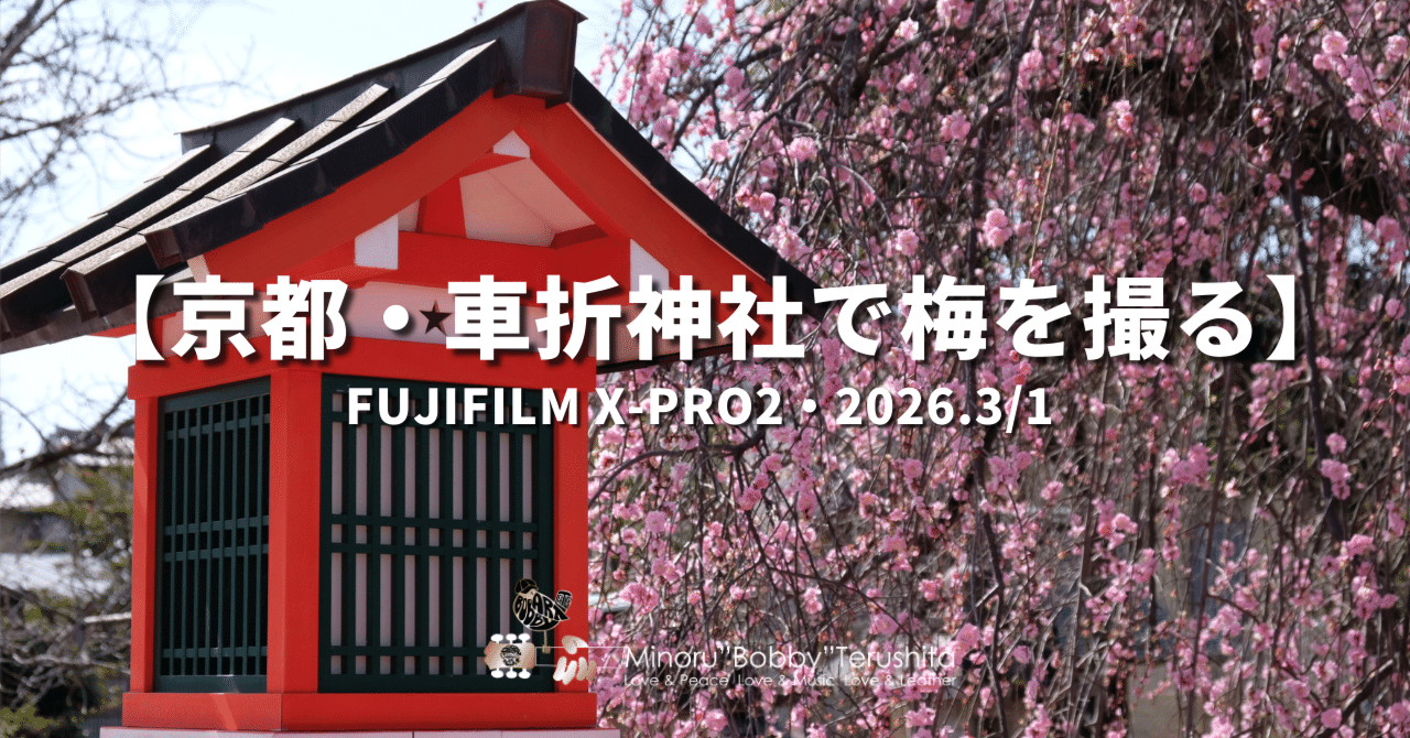 京都・車折神社で梅を撮る】📷FUJIFILM X-Pro2・2026.3/1｜ボビー