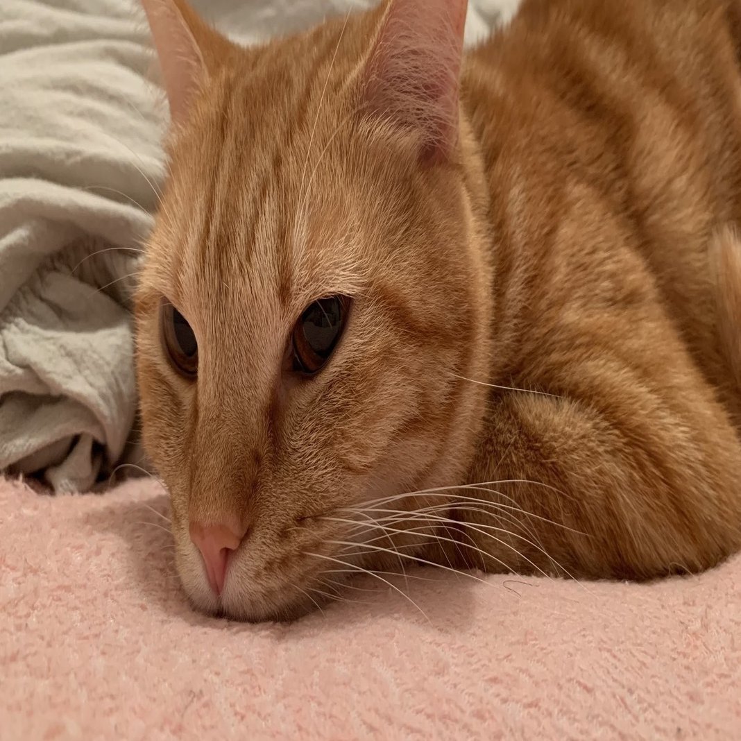 英語教育 失われた三十年 問題とは何か 田中健一 英語講師 Note