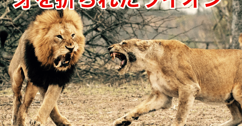 牙を折られたライオン Passion Note