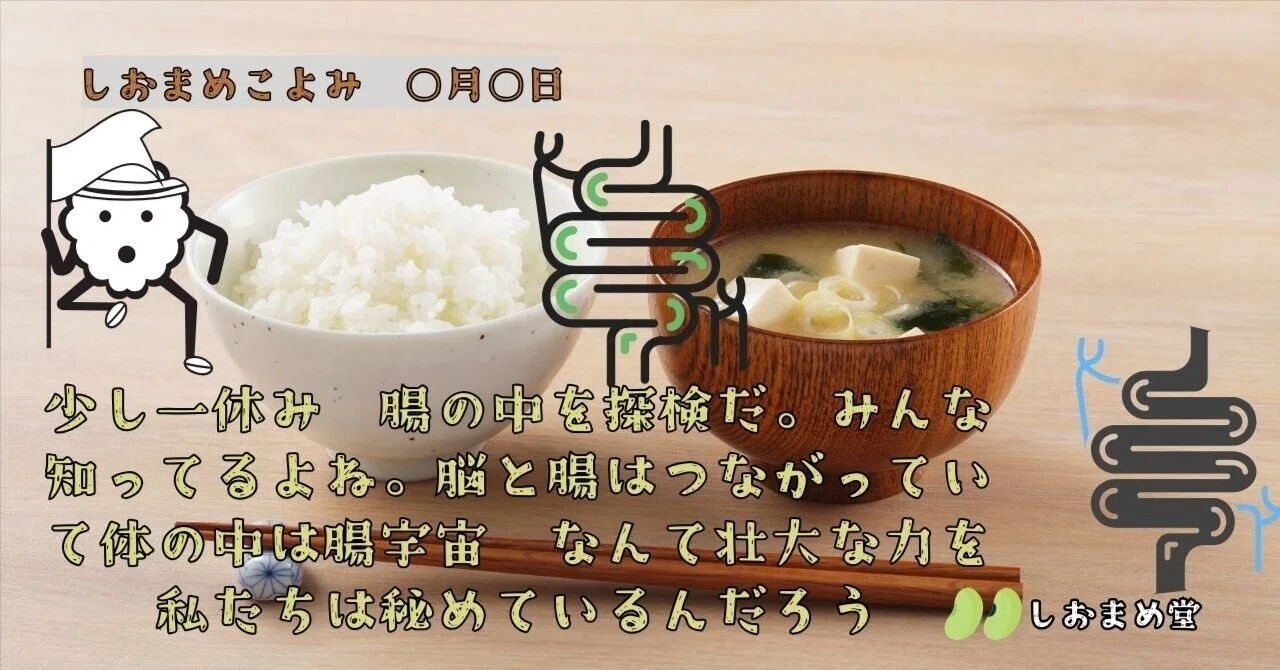 腸って、そもそもどんな世界？今日は、なんだか壮大な話かも…三豆たち 
