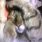 と金にゃん♪