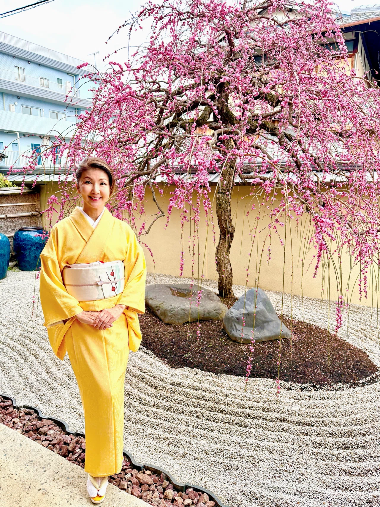 セミアンティーク　子供　着物　/糸巻き　枝垂れ梅 満開の枝垂れ梅に、敢えて“梅”の帯を！！』 〜京都の知る人ぞ知るお庭
