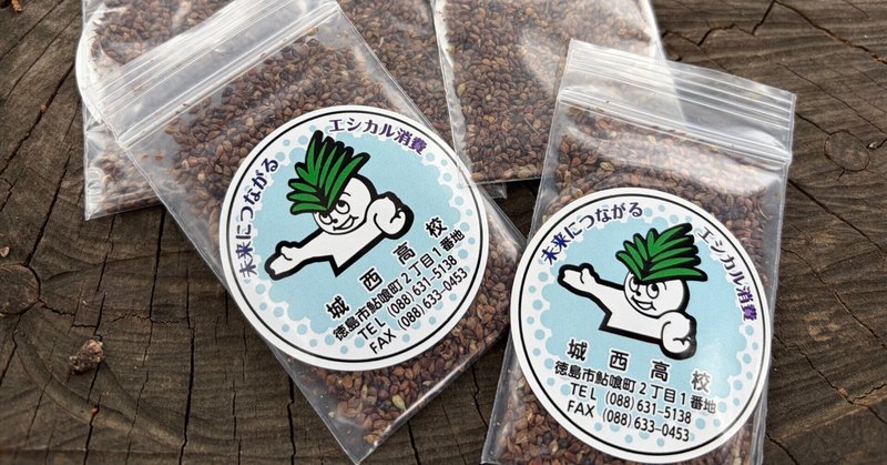 どんぐり山通信:小さな城西大使、黒川に到着!