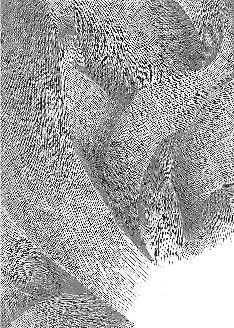 押入れより はるか昔 仕事中ヒマだったのでしょうかwなんか恨みのこもったカケアミの練習したのが出てきました 怖いッスね 梅熊大介 Note