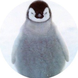 勝どきペンギン Note