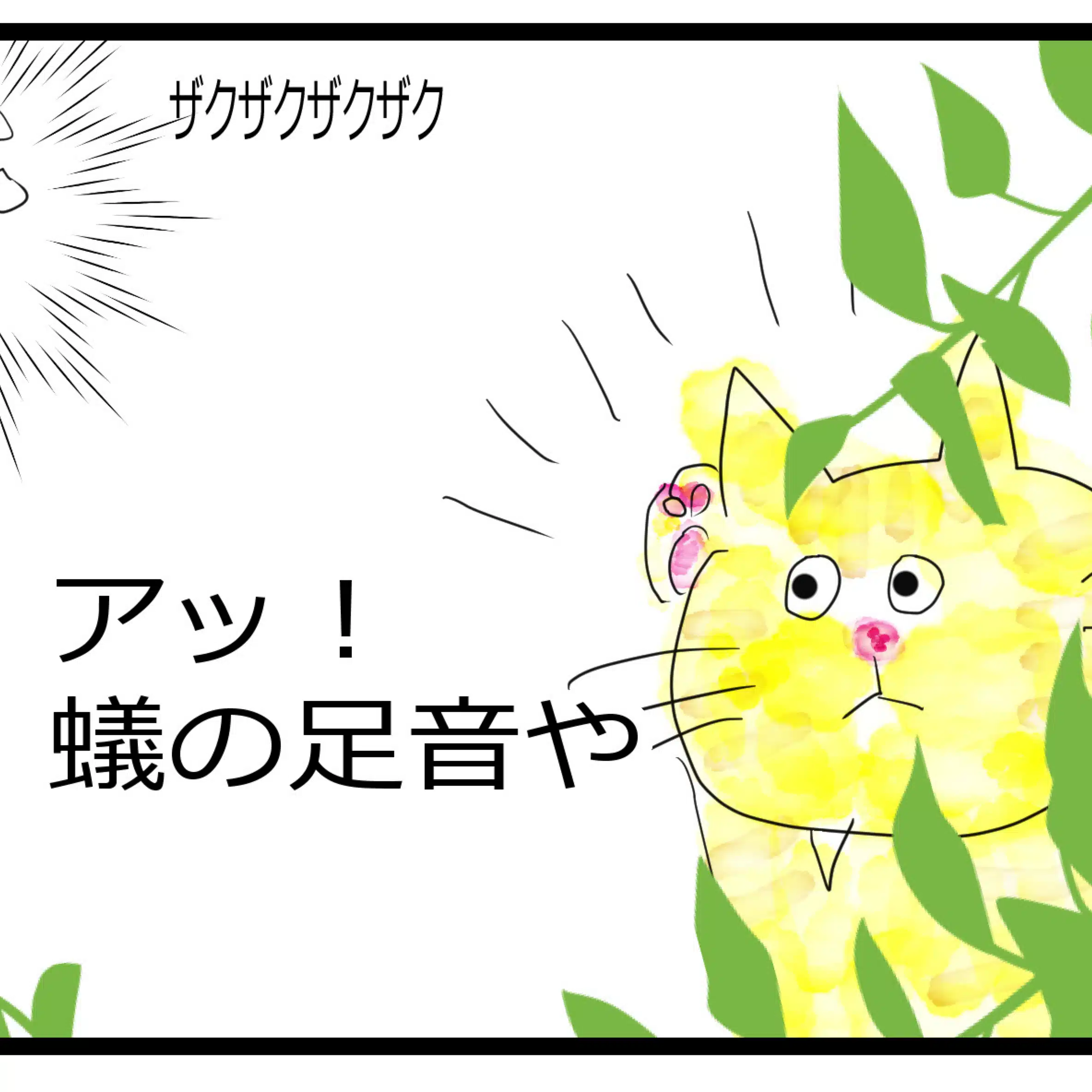 まきぶー