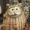 korokoro_5648