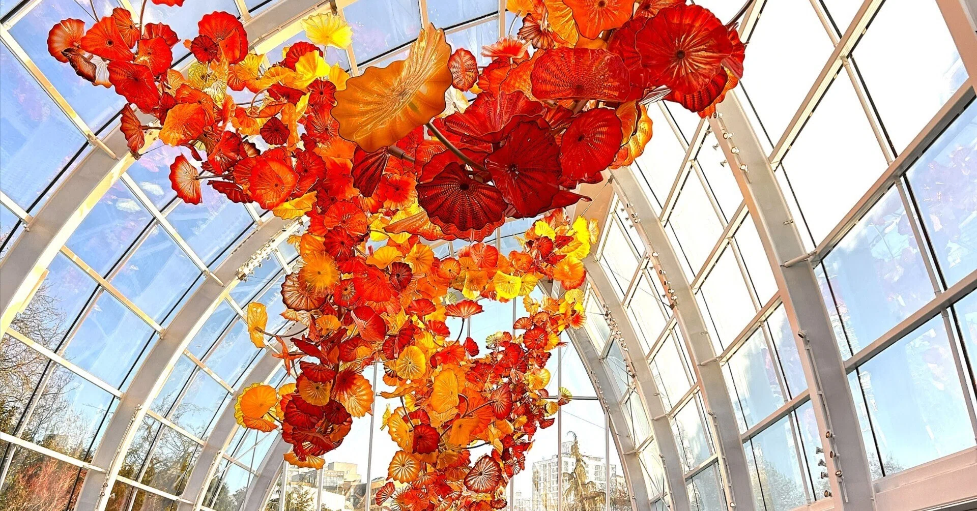 A Seattle Classic! Experience the Art of Light at Chihuly Garden