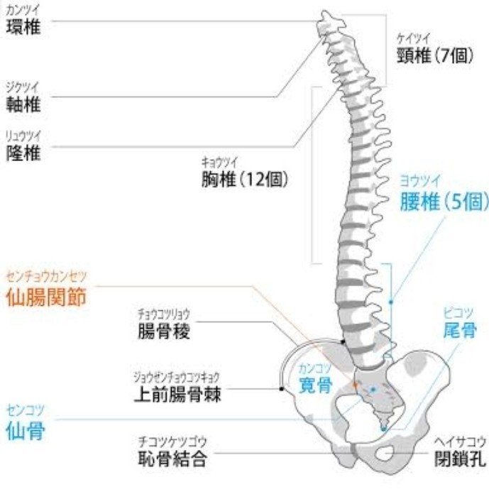 変態糞土方の美しい文法について 三上夕焼 サンジョウユウヤ Note