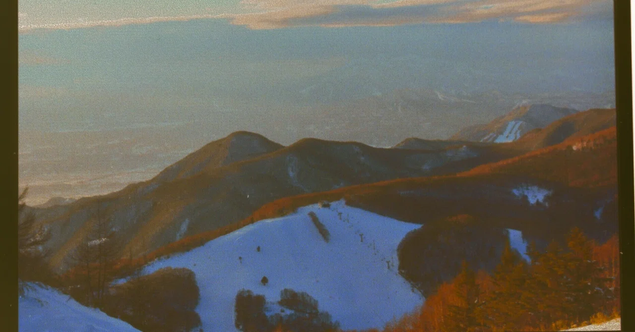 Playing with turning digital photos into negative-style film｜しろ