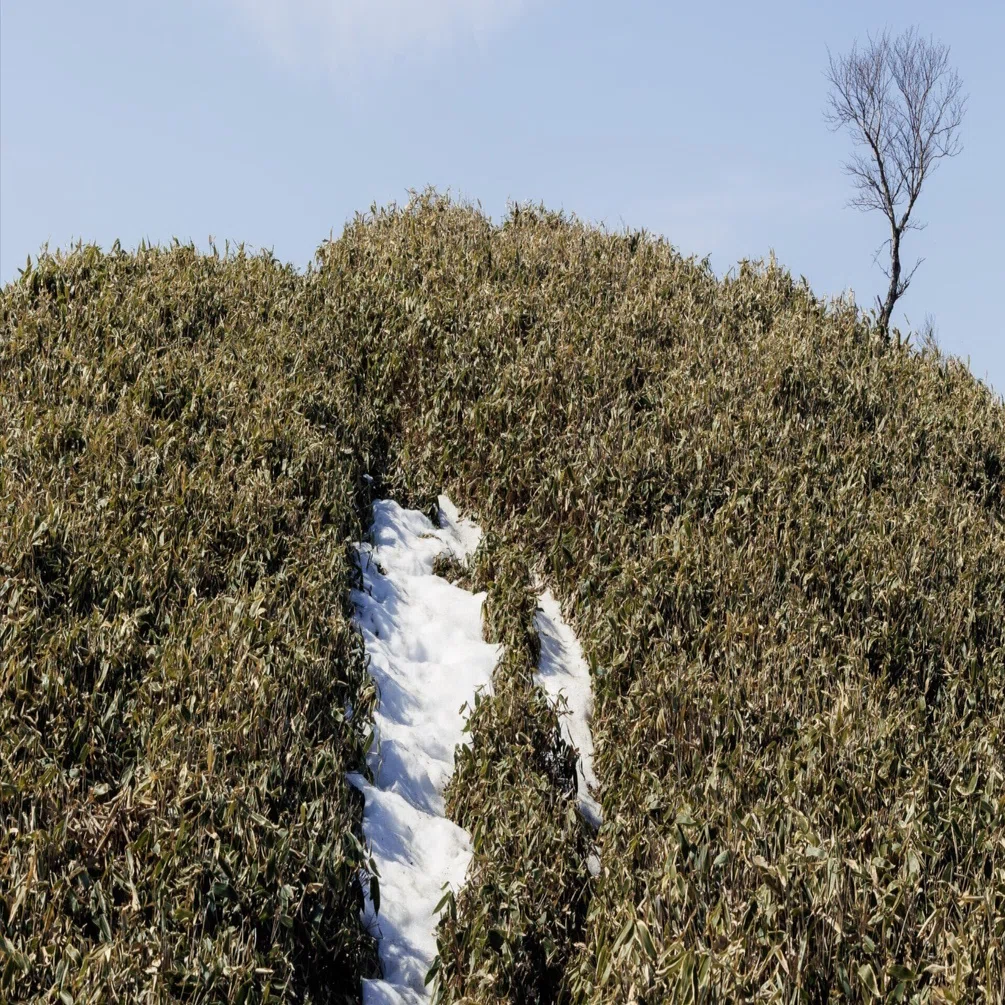 奥物部の風景】 白髪山〜ふるさと林道を周回｜岡本卓也｜風景写真家