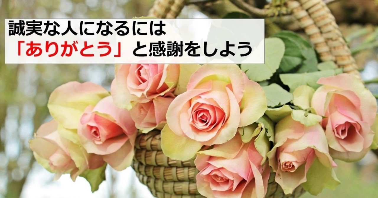 日々の感謝が誠実さを育む まさ Note