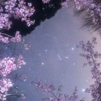 ゆらぎ恋心の記録帳